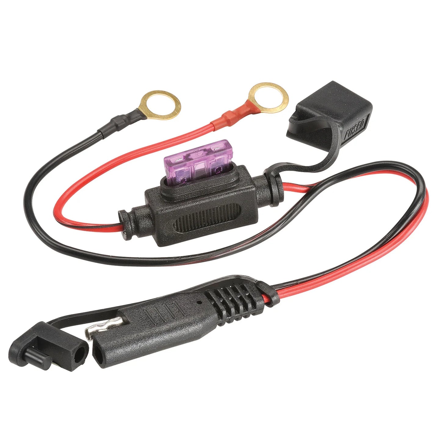 Projecta Charge N Maintain Automatic Battery Charger