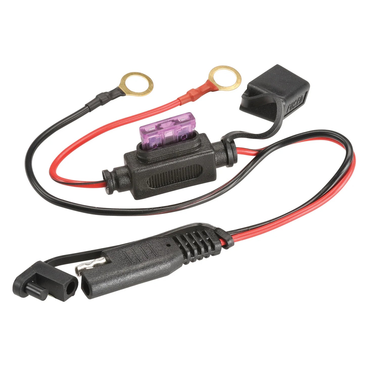 Projecta Charge N Maintain Automatic Battery Charger